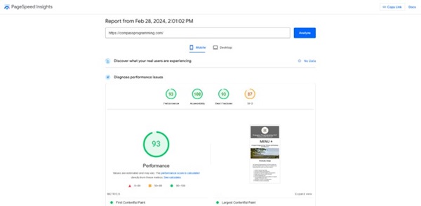 mobile friendly test results